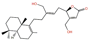 Luffarin L